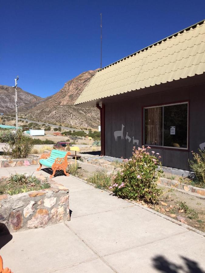 Hotel Vicuñas Putre